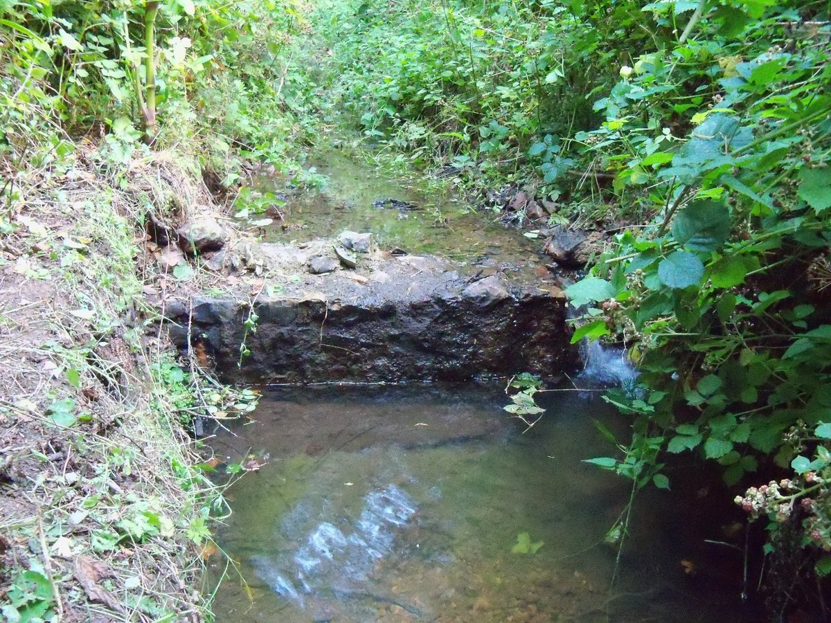 A Rediscovered Waterfall